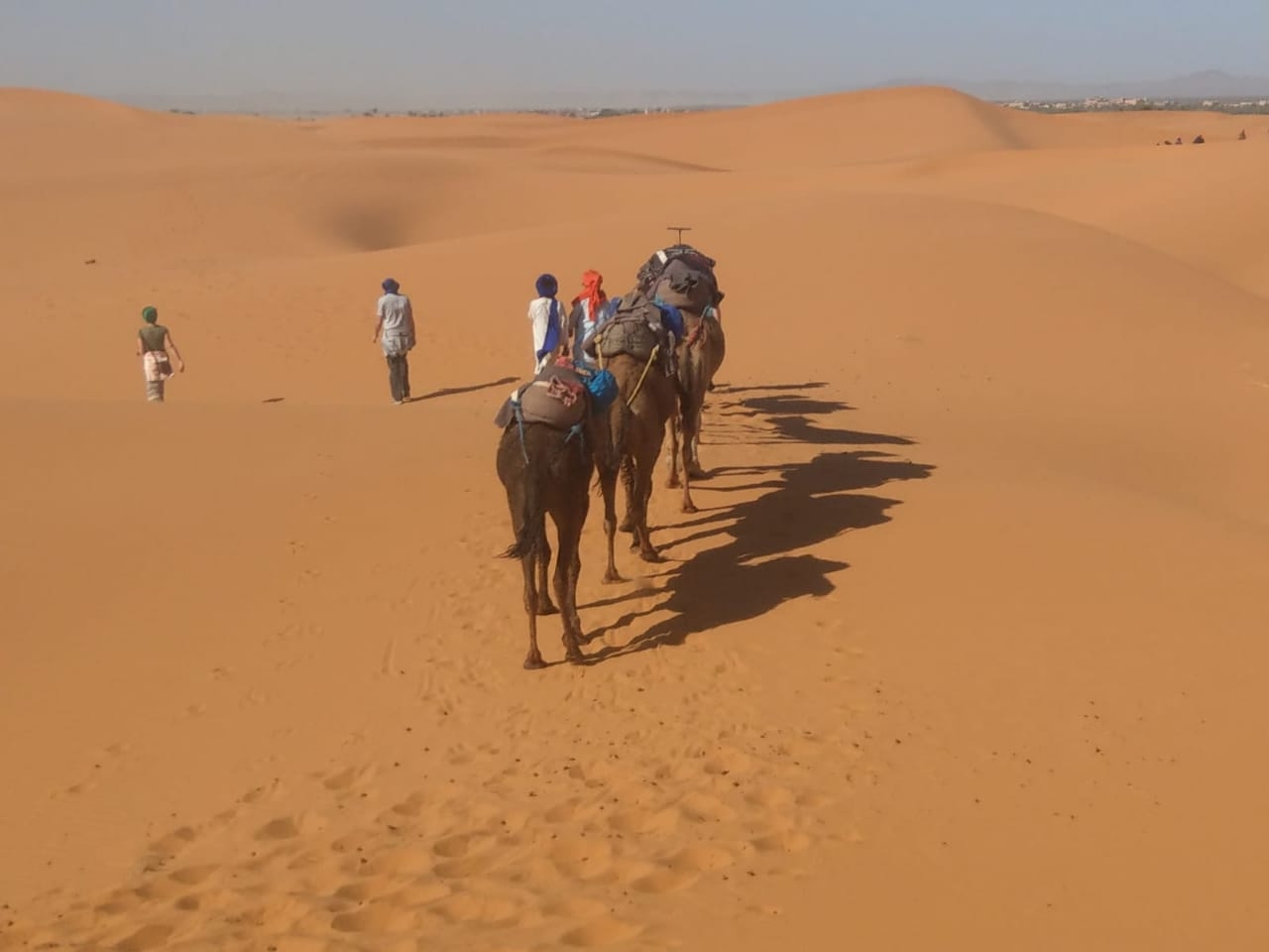 1 Night Merzouga Camel Trek Into The Desert Erg Chebbi | Morocco Desert ...