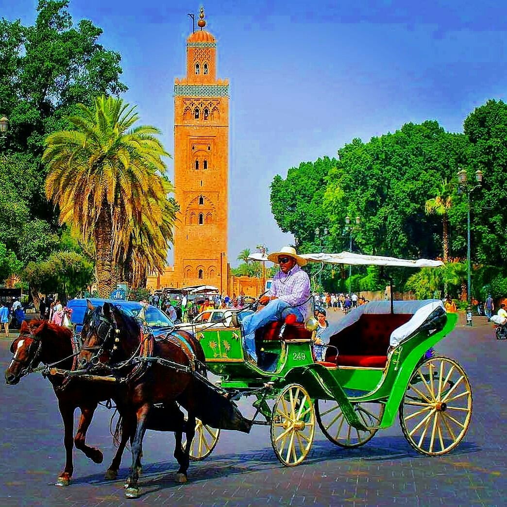 Morocco Custom Tours | Best Morocco Desert Tours & Luxury Trips2026