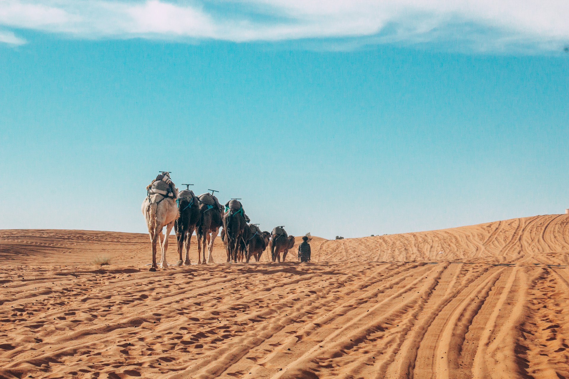 Morocco Tours From Casablanca | Sahara Desert & Luxury Morocco Tours2026