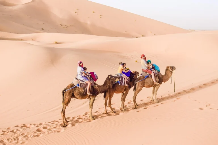 Sahara Desert Camel Trekking in Morocco