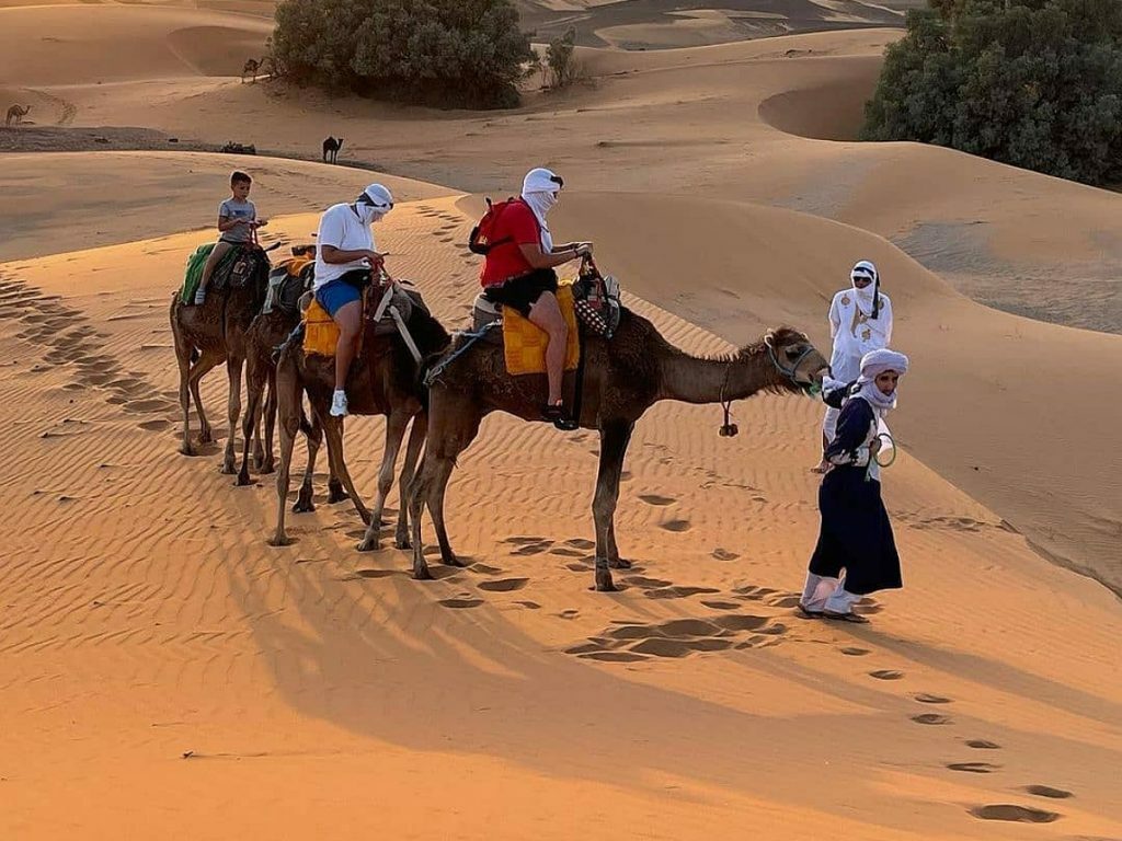 Camel Trekking in Merzouga