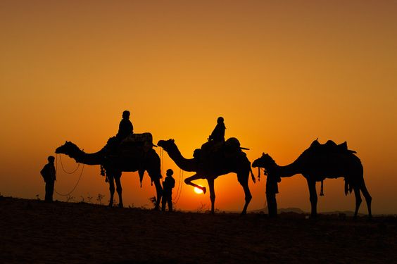 Camel Trekking in Merzouga 2026 | Best Morocco Desert Tours & Sahara Adventure