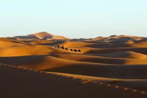 Dunes of Erg Chebbi 2026 | Best Morocco Desert Tours & Sahara Adventures