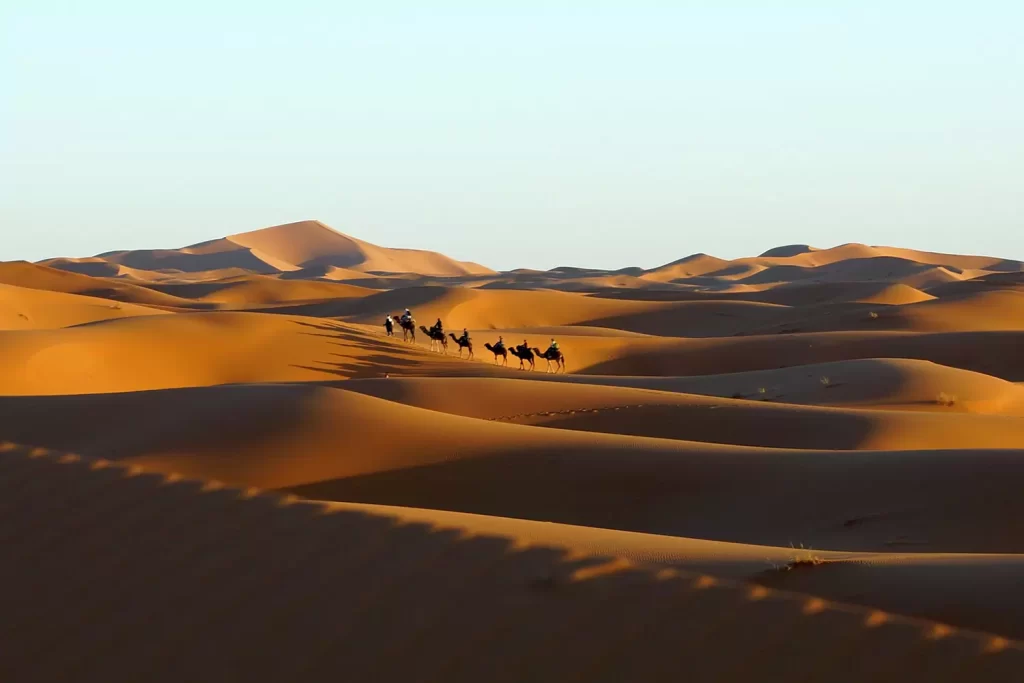 Dunes of Erg Chebbi