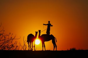 Fes Desert Tours | Best Morocco Desert Tours & Sahara Trips2026