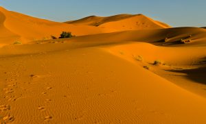 Sahara desert trip Morocco