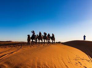 Custom Tours Morocco 2026 | Private Sahara Desert Trips, Merzouga & Luxury Morocco Tours