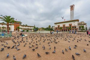 Tours from Casablanca 2026 : The Best Secret Guide