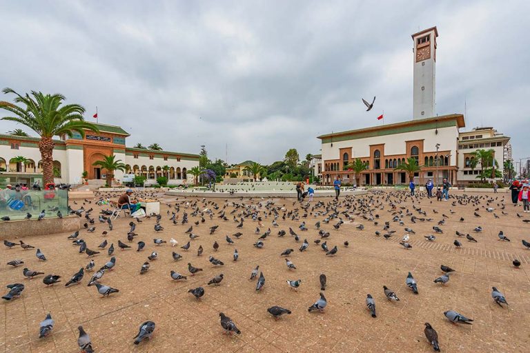 Desert Tours from Casablanca 2026 : The Best Secret Guide