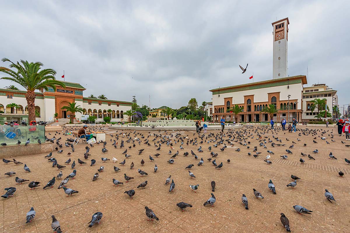The Secret Morocco Tours from Casablanca 2026 : Guide