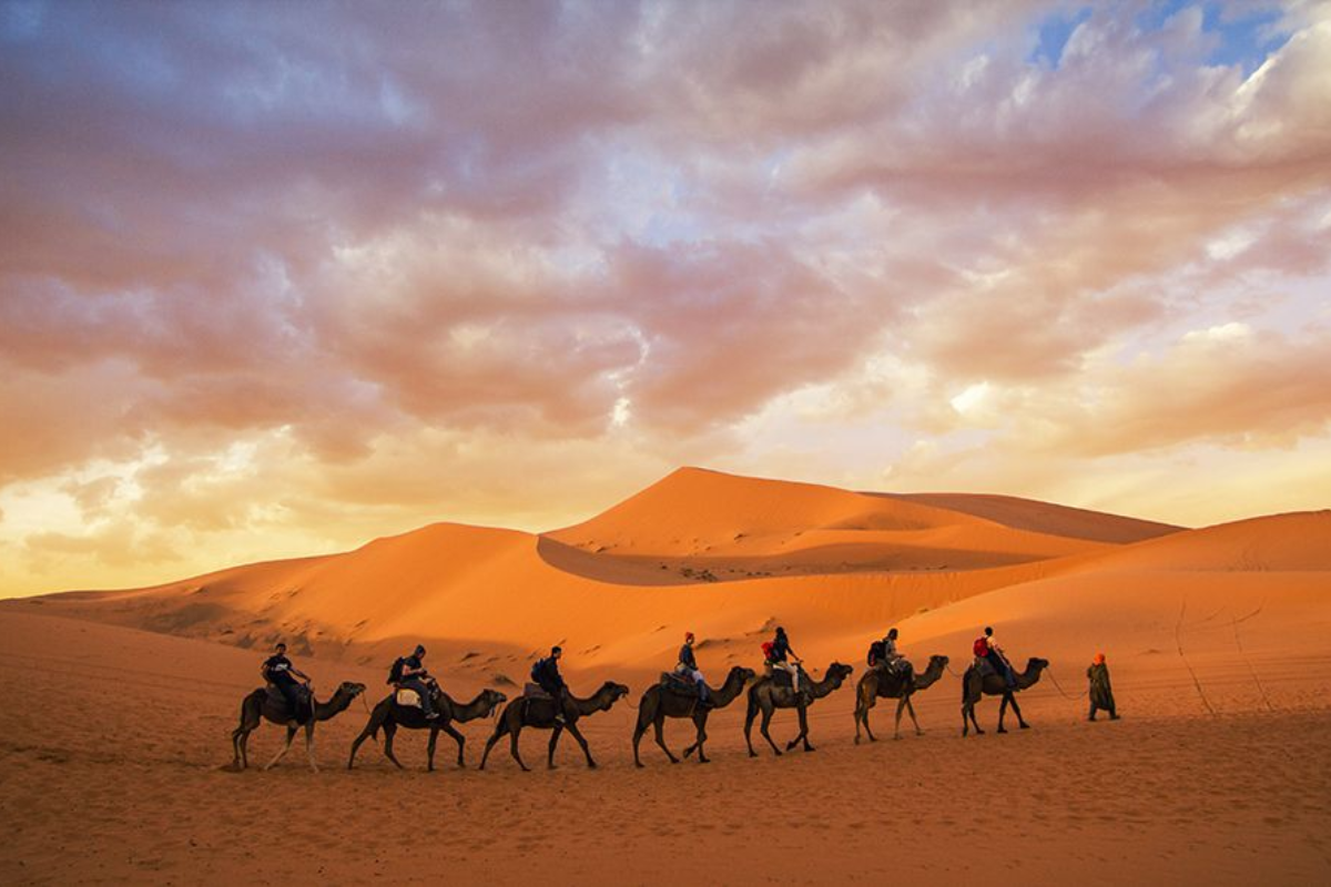 merzouga camel trekking