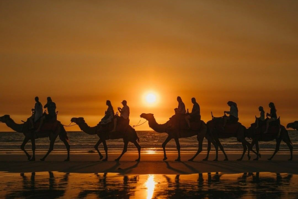  marrakech desert tours