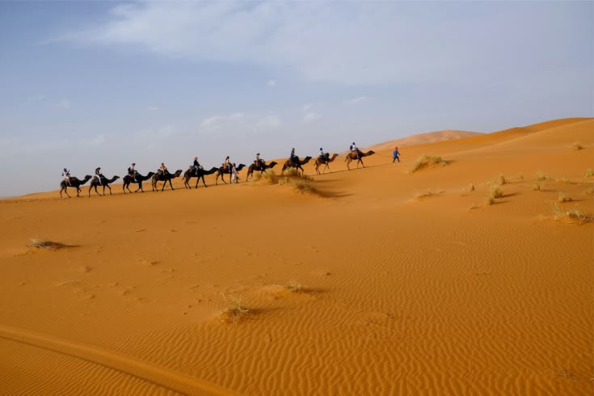 Camel Trekking in Merzouga 2026: Ultimate Erg Chebbi Desert Guide