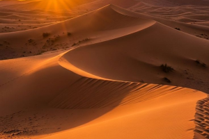 Morocco Desert Tours – Visite guidée du Sahara marocain