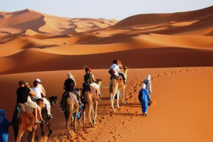 Camel Trekking in Merzouga 2026: Ultimate Erg Chebbi Desert Guide