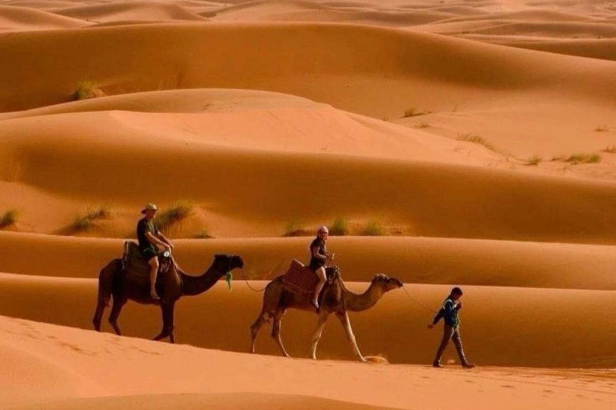 Erg Chebbi golden dunes Merzouga Morocco Sahara