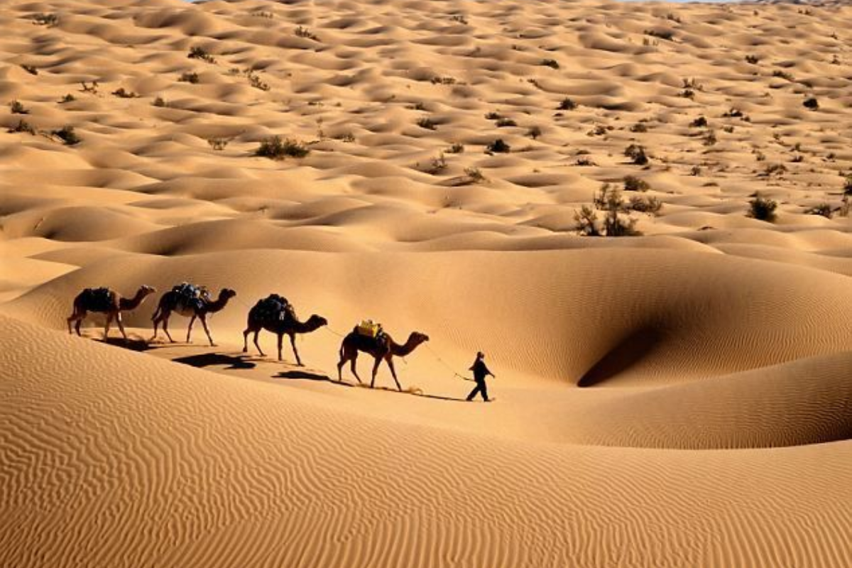 best holiday tours from casablanca morocco
